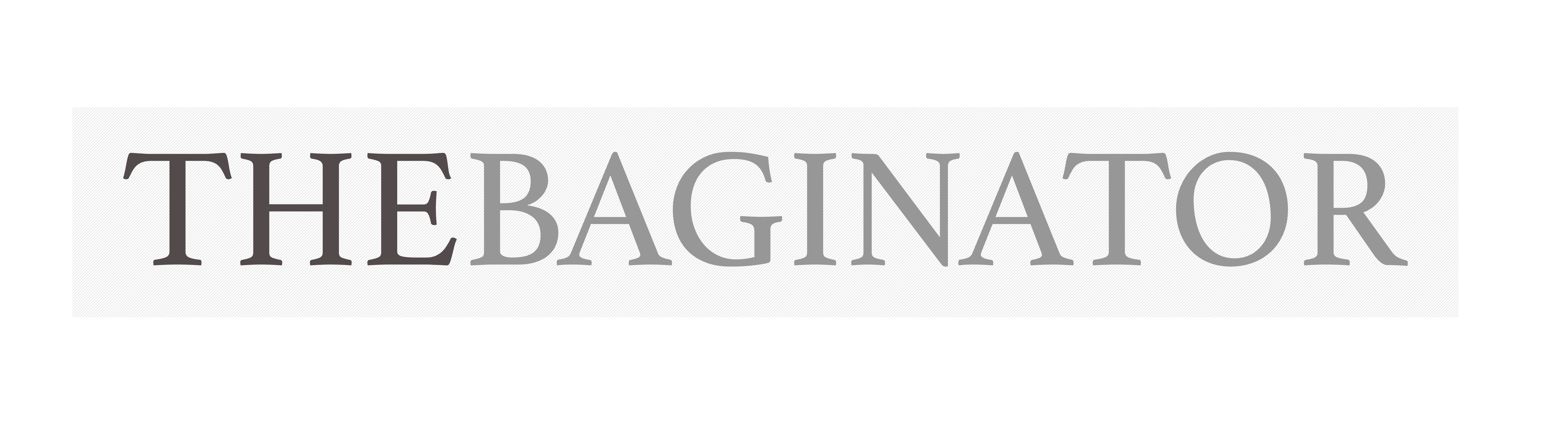 the-baginator.de